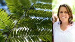 Jean Thomas Background image